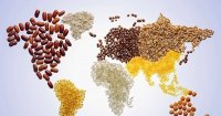 16 октября - Всемирный день продовольствия